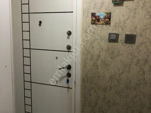 İstanbul Merkez, İstanbul içerisinde kiralık mülk