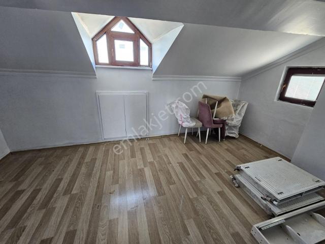 İstanbul Merkez, İstanbul içerisinde kiralık mülk