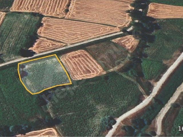 Kadı Yerleri, Kocasinan içerisinde satılık Arsa