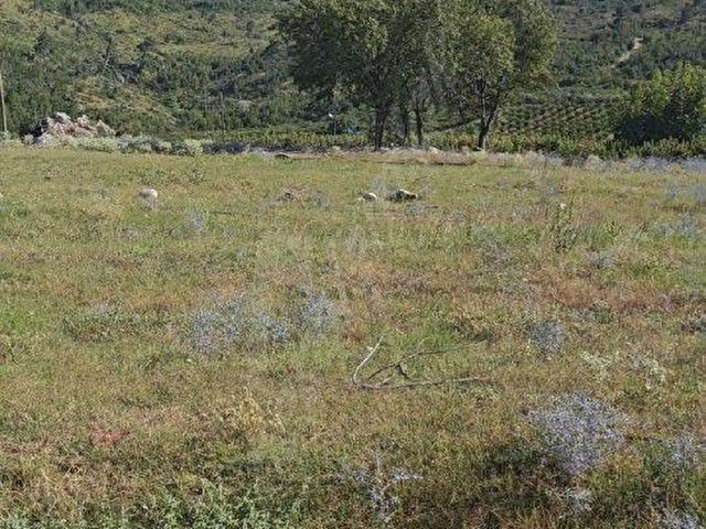 Kocayer, Mezitli içerisinde satılık Arsa