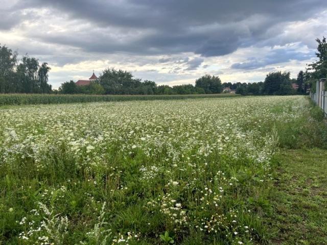 Grunt na sprzedaż w Zwoleń, Mazowieckie