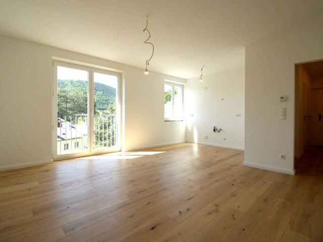 Apartment kaufen in Hinterbrühl, Niederösterreich