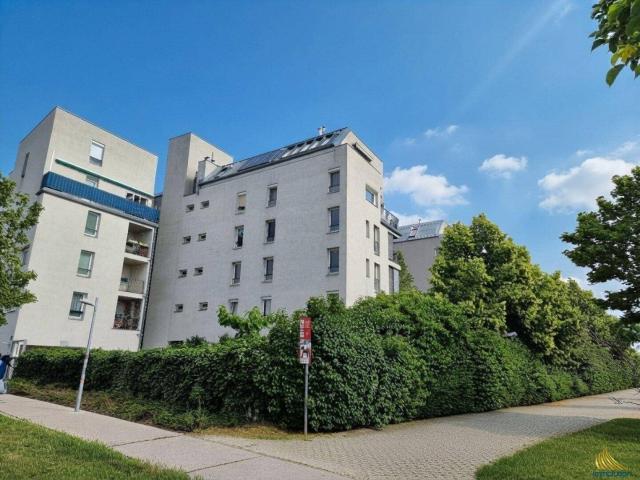 Apartment mieten in Simmering, Wien