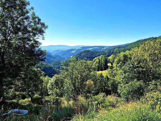 Landwirtschaft kaufen in Köflach, Steiermark