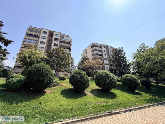 Barış Mahallesi, Nilüfer içerisinde kiralık mülk