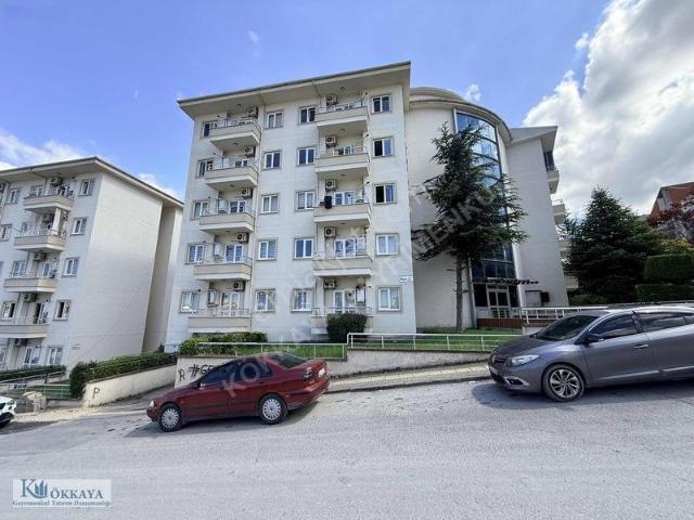 Dumlupınar Mahallesi, Nilüfer içerisinde kiralık mülk