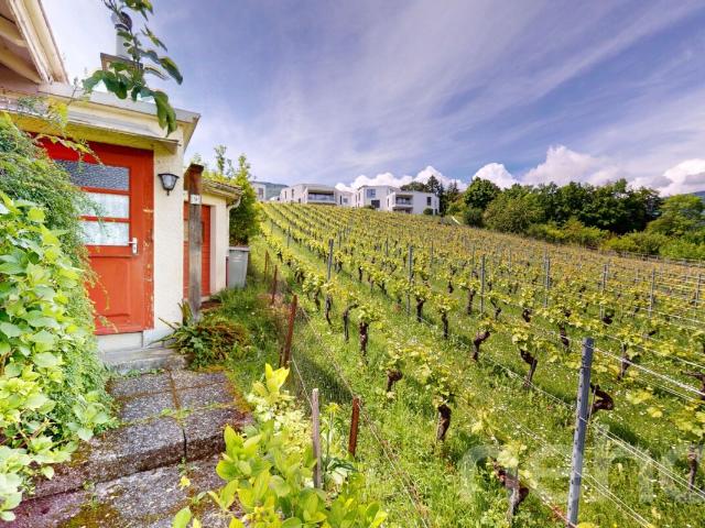 Haus kaufen in Areuse