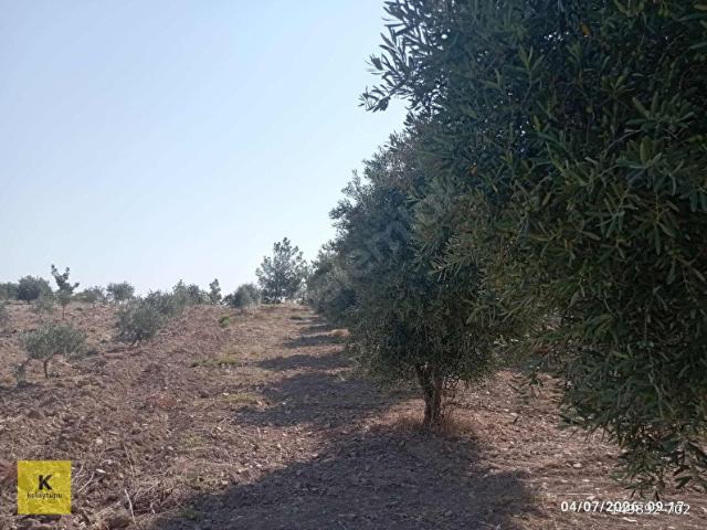 Gülnar, Mersin içerisinde satılık mülk
