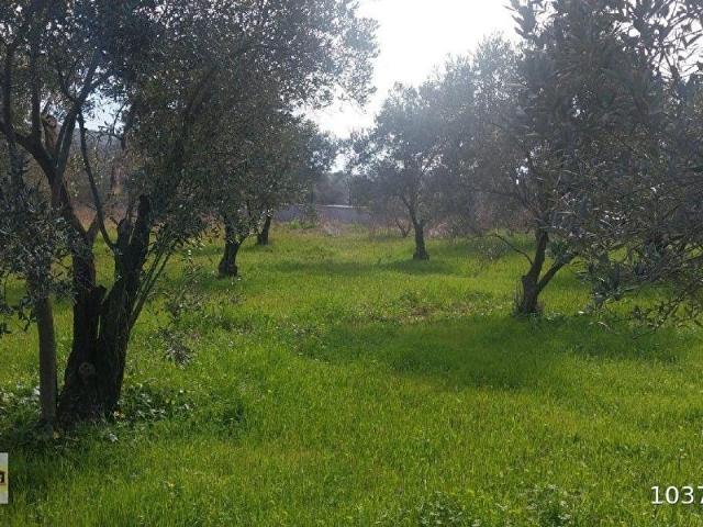 Seferihisar, İzmir içerisinde satılık mülk