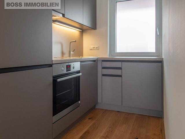 Wohnung mieten in Linz, Oberösterreich