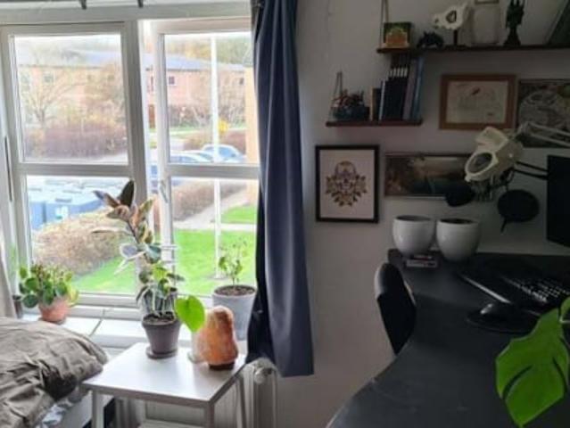 Lejlighed til leje i Over Holluf, Odense