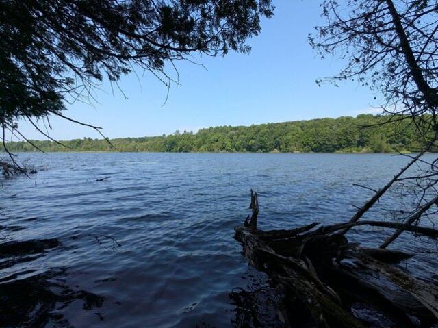 Land for sale in Garland, Maine