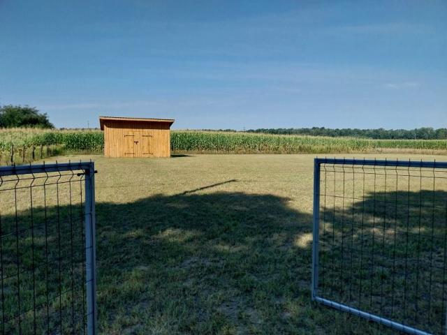 Grunt na sprzedaż w Miedzna, Mazowieckie