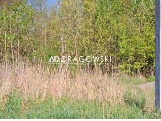 Grunt na sprzedaż w Koluszki, Łódzkie