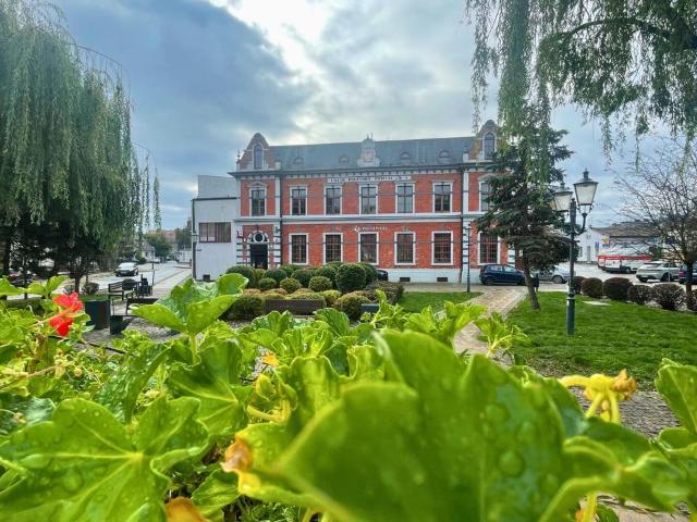 Biuro do wynajęcia w Świecie, Kujawsko-pomorskie