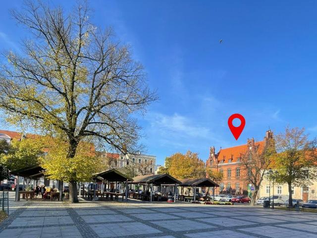 Biuro do wynajęcia w Chełmno, Kujawsko-pomorskie