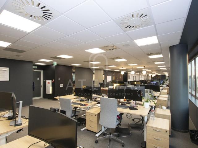 Biuro do wynajęcia w Szczecin, Zachodniopomorskie