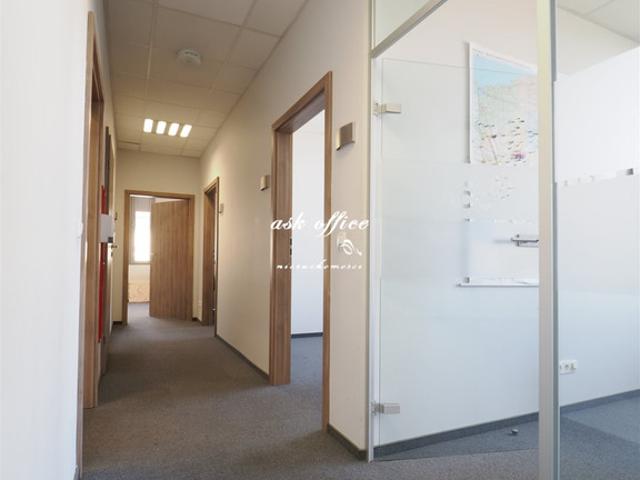 Mieszkanie do wynajęcia w Wrocław, Dolnośląskie