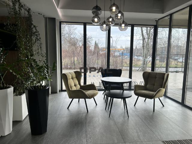 Biuro do wynajęcia w Katowice, Śląskie