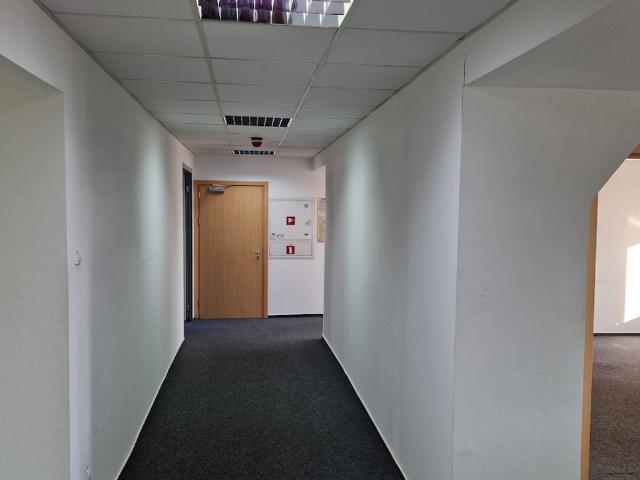 Biuro do wynajęcia w Łódź, Bałuty