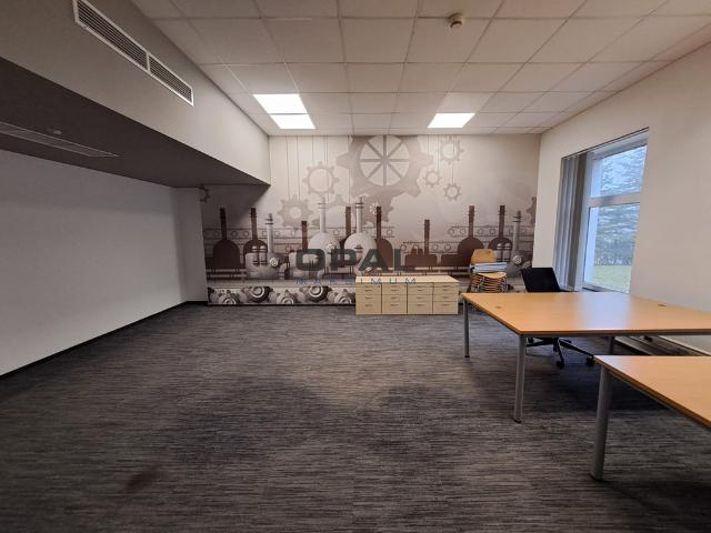 Biuro do wynajęcia w Ruda Śląska, Śląskie