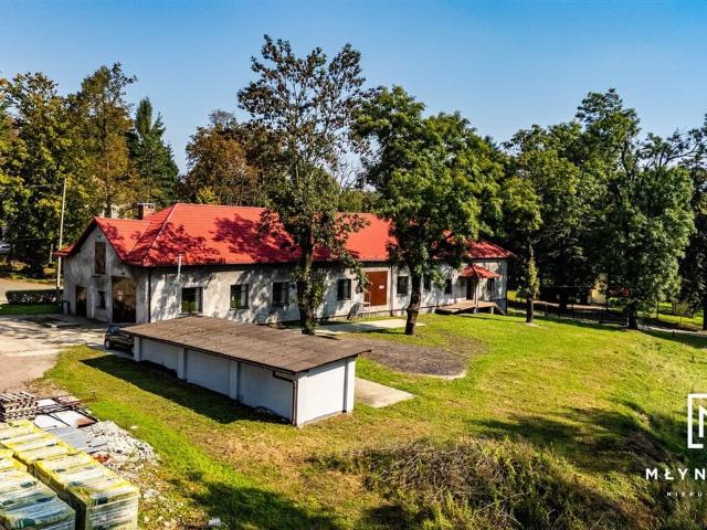 Komercyjne na sprzedaż w Dankowice, Śląskie