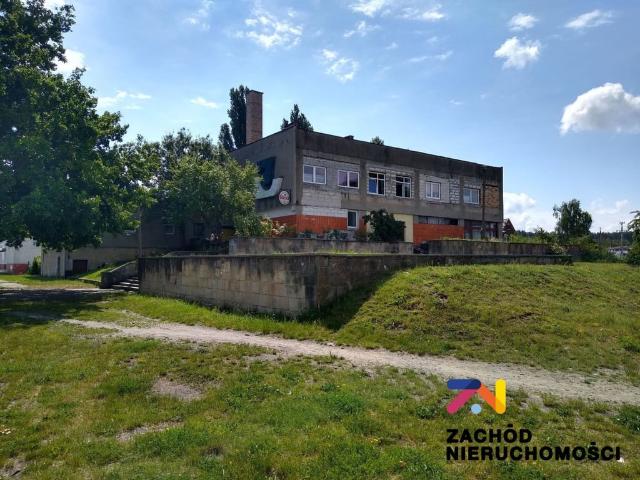 Komercyjne na sprzedaż w Łęknica, Lubuskie