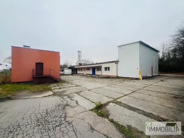 Komercyjne na sprzedaż w Sępólno Krajeńskie, Kujawsko-pomorskie