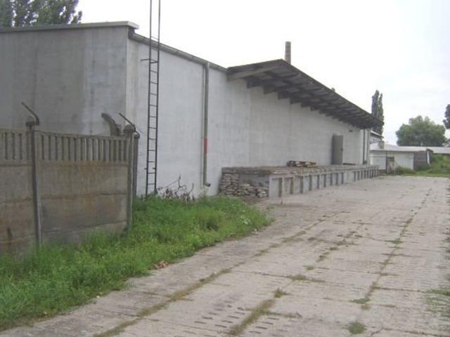 Komercyjne do wynajęcia w Opole