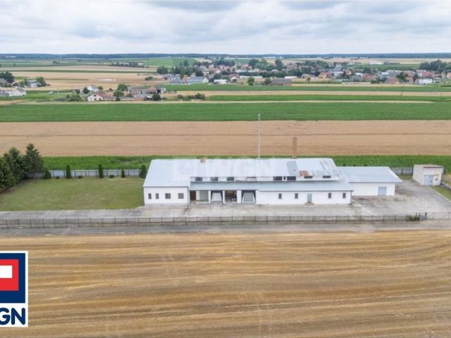 Komercyjne do wynajęcia w Wielkopolskie