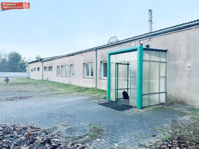 Komercyjne do wynajęcia w Cewice, Pomorskie
