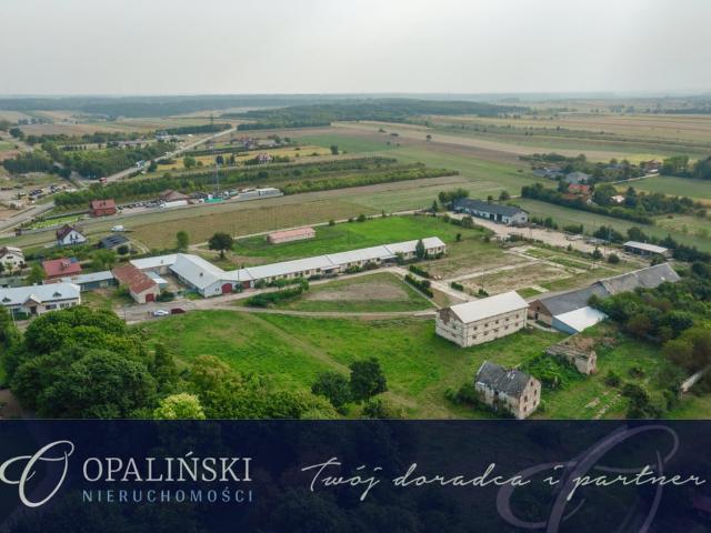 Komercyjne na sprzedaż w Annopol, Lubelskie