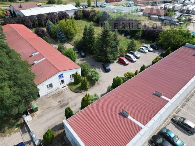 Komercyjne na sprzedaż w Koło, Wielkopolskie