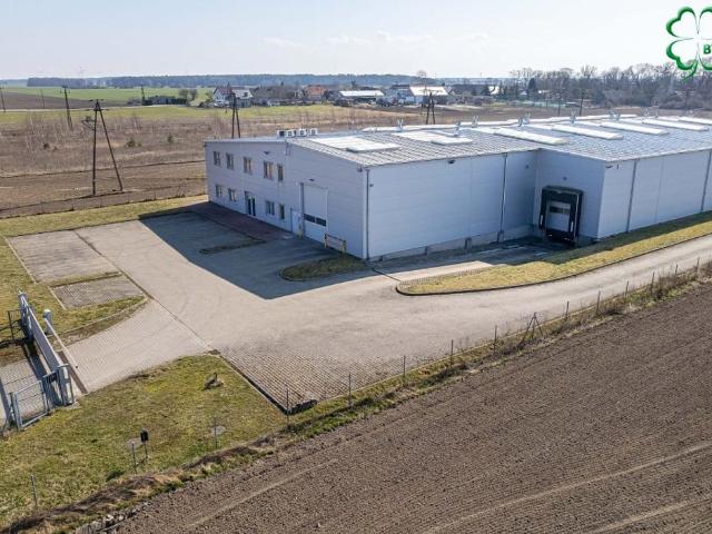 Komercyjne do wynajęcia w Poklatki, Wielkopolskie