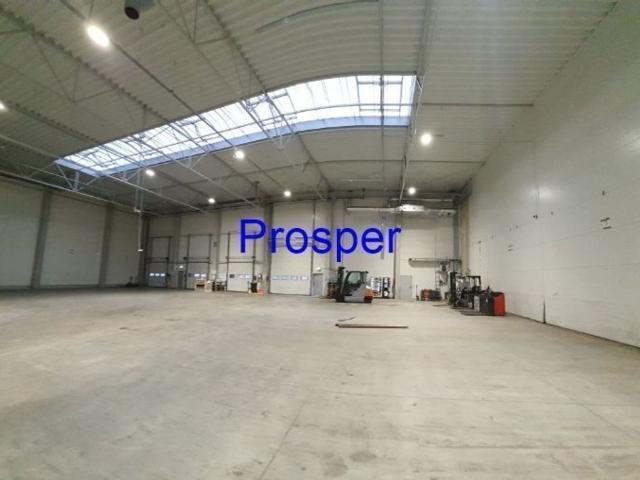 Komercyjne do wynajęcia w Pszczyna, Śląskie