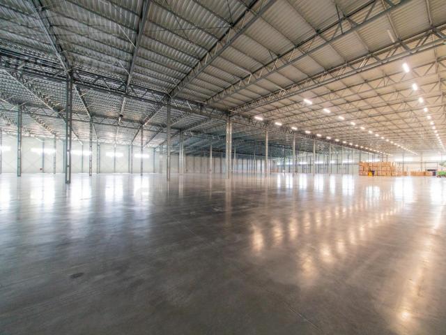 Komercyjne do wynajęcia w Falenty, Mazowieckie