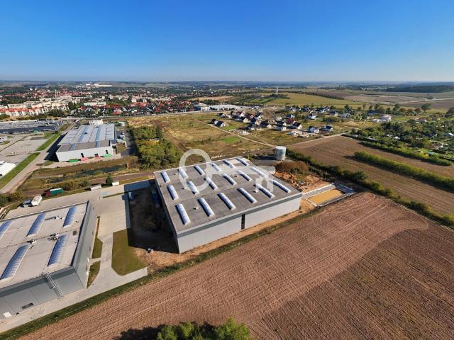 Komercyjne do wynajęcia w Osiedle Łużyckie, Świebodzin