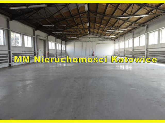 Komercyjne do wynajęcia w Dąb, Katowice