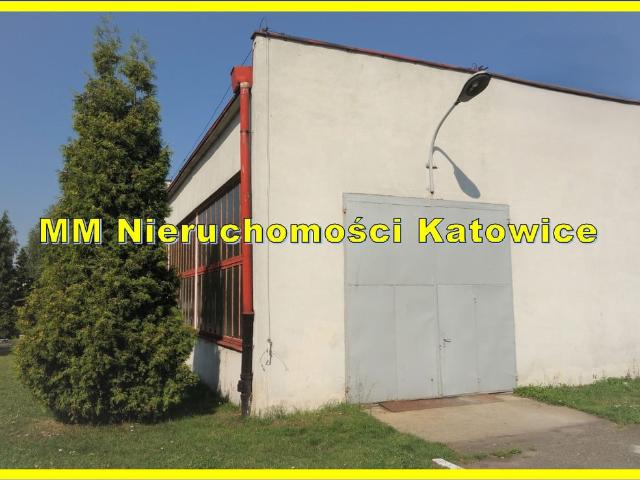 Komercyjne do wynajęcia w Katowice, Śląskie