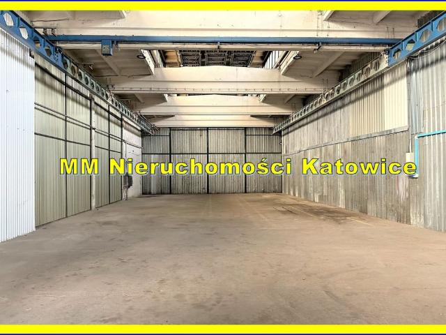 Komercyjne do wynajęcia w Katowice, Śląskie