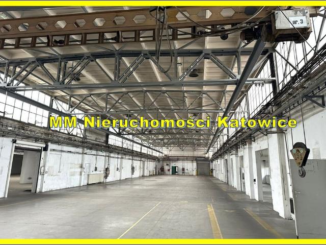 Komercyjne do wynajęcia w Katowice, Śląskie