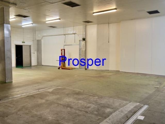 Komercyjne do wynajęcia w Katowice, Śląskie