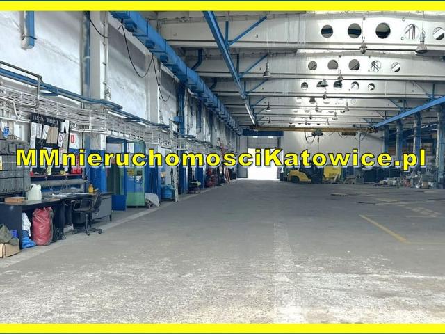 Komercyjne do wynajęcia w Katowice, Śląskie