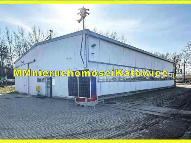 Komercyjne do wynajęcia w Mysłowice, Śląskie