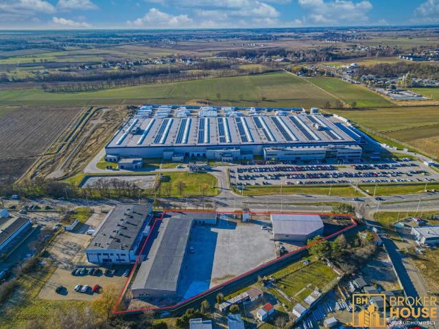 Komercyjne do wynajęcia w Opole, Opolskie