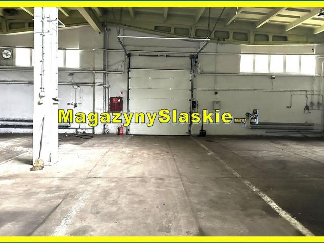Komercyjne do wynajęcia w Zabrze, Śląskie