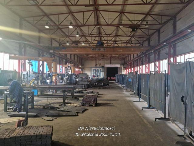 Komercyjne do wynajęcia w Zabrze, Śląskie