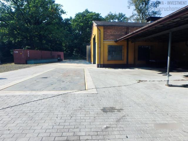 Komercyjne do wynajęcia w Knurów, Śląskie