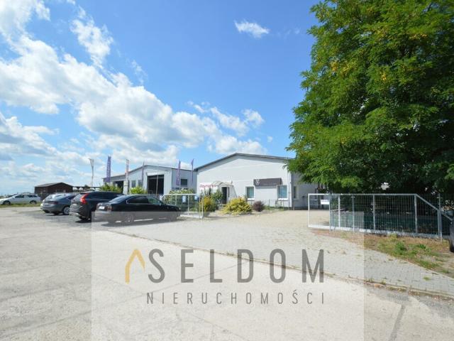 Komercyjne na sprzedaż w Stare Siołkowice, Opolskie