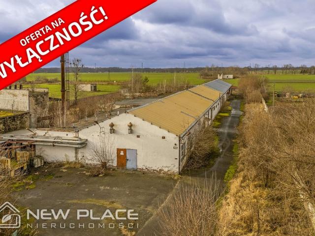 Komercyjne na sprzedaż w Opolskie